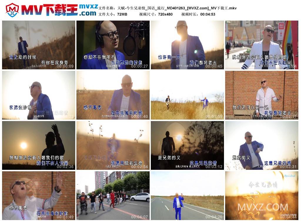 天赋-今生兄弟情_国语_流行_MD401263